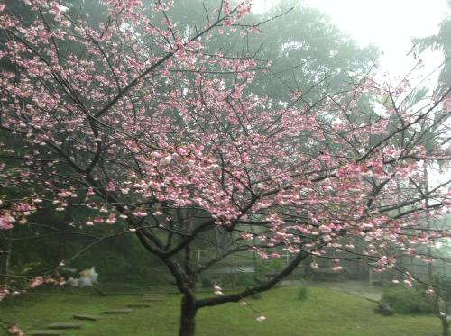 This photo about House of San Sia Ah Kuei shared on HyHotel.com