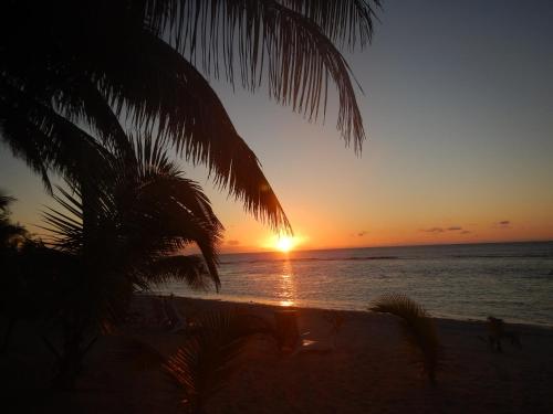 منظر, Reefcomber Sunset Beach near مطار Rarotonga الدولي منظر, Reefcomber Sunset Beach near مطار Rarotonga الدولي