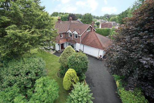 Pinetrees Bed & Breakfast B&B