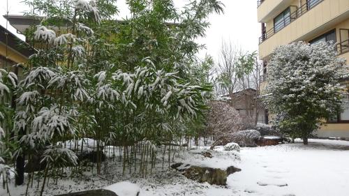 This photo about Hotel Kinu shared on HyHotel.com