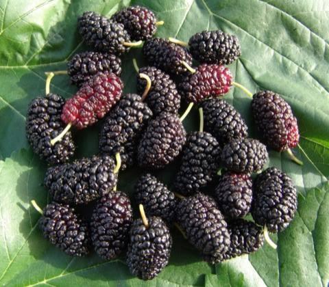 This photo about Agriturismo Mirasole shared on HyHotel.com