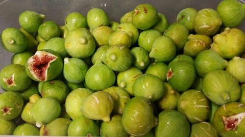 This photo about Agriturismo Mirasole shared on HyHotel.com