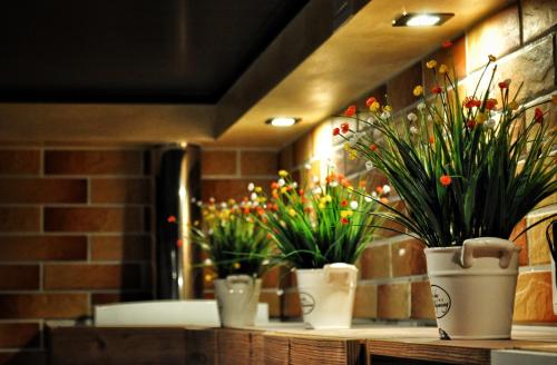 Zanevsky guest house in Saint Petersburg Zanevsky guest house in Saint Petersburg
