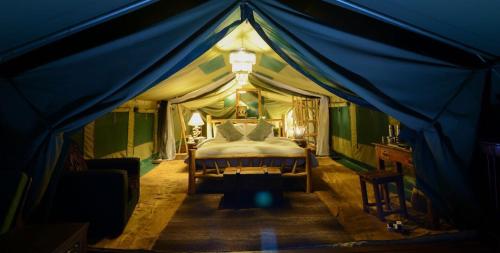Asanja Africa Luxury Tent in Serengeti Asanja Africa Luxury Tent in Serengeti