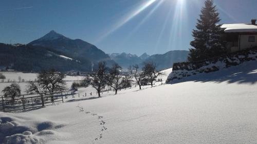 A környék, Oberfischergut in Reitdorf A környék, Oberfischergut in Reitdorf