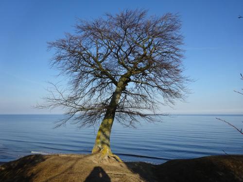 Attractions, Solrosen i Simrishamn - Osterlen in Simrishamn Attractions, Solrosen i Simrishamn - Osterlen in Simrishamn