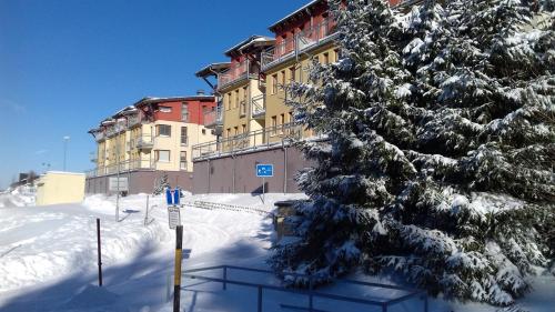 A szálláshely kívülről, Apartman Klinovec 365 in Loucna Pod Klinovcem A szálláshely kívülről, Apartman Klinovec 365 in Loucna Pod Klinovcem