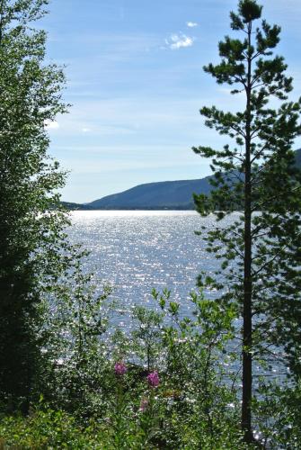 Surrounding environment, Trysil Alpin 16A Top location in Trysil Surrounding environment, Trysil Alpin 16A Top location in Trysil