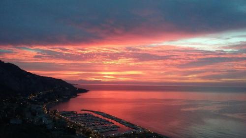 Les Citronniers d'Azur in Menton Les Citronniers d'Azur in Menton