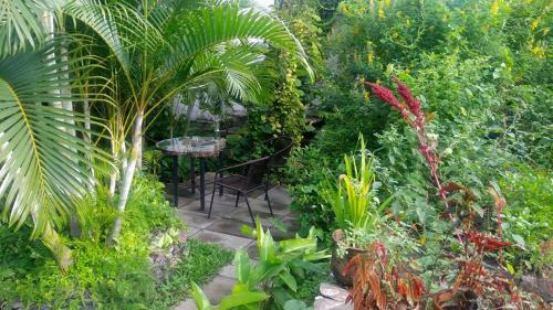 Jardin, Cinco Hotel B&B in San Salvador Jardin, Cinco Hotel B&B in San Salvador