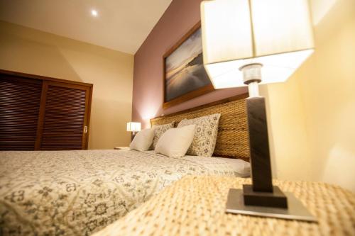 Hotel Plaza Marbella Granada in Granada Hotel Plaza Marbella Granada in Granada