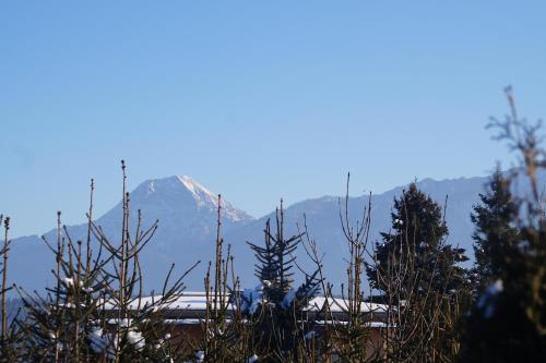 View, Ambiente Ferienapartments Warmbad Villach in Warmbad Villach View, Ambiente Ferienapartments Warmbad Villach in Warmbad Villach