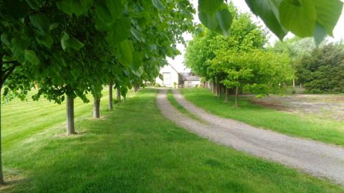 This photo about The Malthouse shared on HyHotel.com