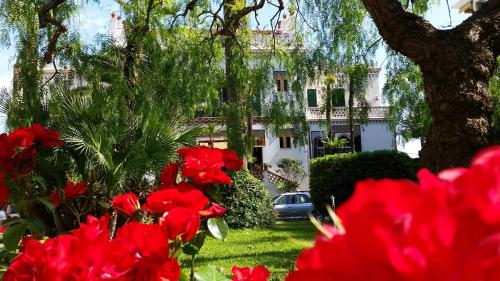 Entree, Villa Belle Rive in Cannes La Bocca Entree, Villa Belle Rive in Cannes La Bocca