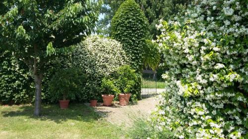 Giardino, Agriturismo San Bruno in San Colombano Al Lambro Giardino, Agriturismo San Bruno in San Colombano Al Lambro