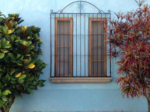 Fasilitas, Hostel Iguana Azul in Copan Ruinas Fasilitas, Hostel Iguana Azul in Copan Ruinas