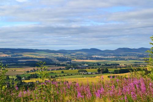 Surrounding environment, St Louan's in Alyth Surrounding environment, St Louan's in Alyth