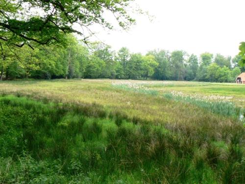 Surrounding environment, Twentekiek in Delden Surrounding environment, Twentekiek in Delden