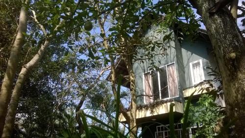 Giao Điem Homestay in Tân An Giao Điem Homestay in Tân An