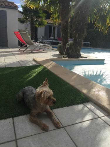 This photo about La Rivagerie shared on HyHotel.com