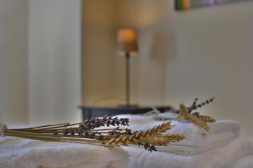 Gartagani Guest House in Stemnitsa Gartagani Guest House in Stemnitsa