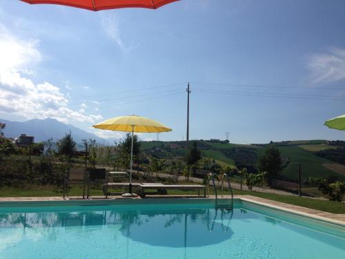 Swimming pool, Agriturismo Cignale in Penne Swimming pool, Agriturismo Cignale in Penne
