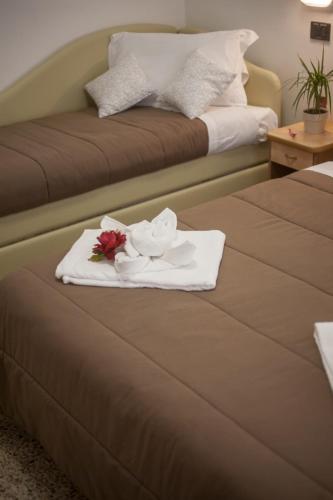 Fasiliteter, Hotel Zurigo in Rimini Fasiliteter, Hotel Zurigo in Rimini
