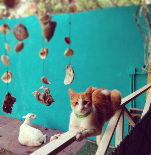 This photo about Naturaleza Mar y Rio shared on HyHotel.com