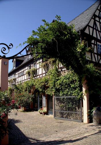 حديقة, Weinhotel Koegler in Eltville am Rhein حديقة, Weinhotel Koegler in Eltville am Rhein