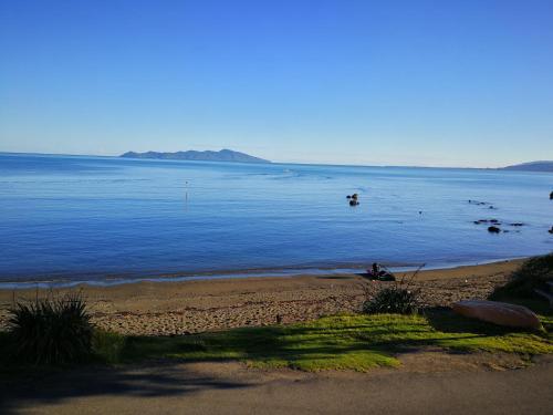 กิจกรรม, Kapiti Waves Bed & Breakfast in เปคาคาริกิ กิจกรรม, Kapiti Waves Bed & Breakfast in เปคาคาริกิ