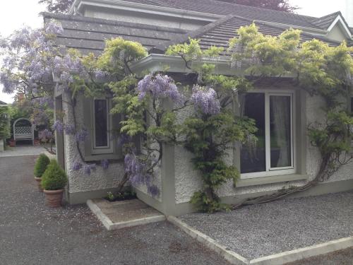 Sea Dew B&B in Tullamore Sea Dew B&B in Tullamore