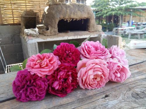 This photo about Chomthong Farmstay and Camping shared on HyHotel.com