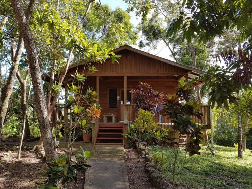 Bilik Mandi, Hidden Haven in Mount Hope Bilik Mandi, Hidden Haven in Mount Hope