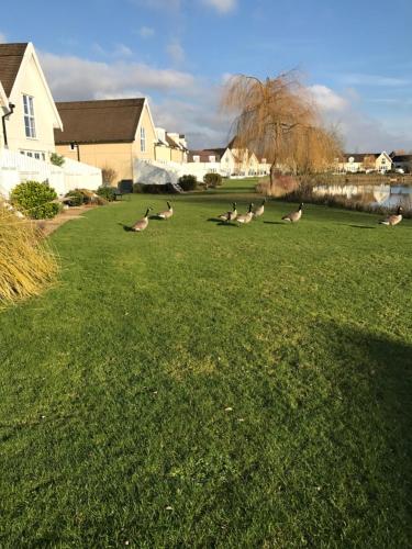 Luxury 3 Bed Home by the Lake in Worcestershire Luxury 3 Bed Home by the Lake in Worcestershire