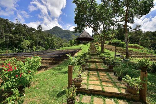 Sheridan Organic Farm and Eco Village near Ugong Rock Sheridan Organic Farm and Eco Village near Ugong Rock