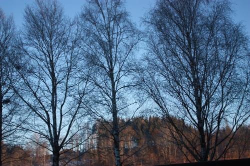 View, Ferienwohnungen Neukirchen in Teisendorf View, Ferienwohnungen Neukirchen in Teisendorf
