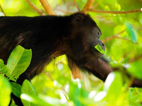 This photo about Hotel Casa Blanca shared on HyHotel.com