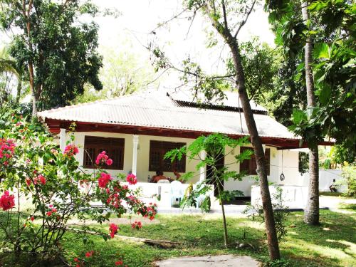 Midigama Surf House