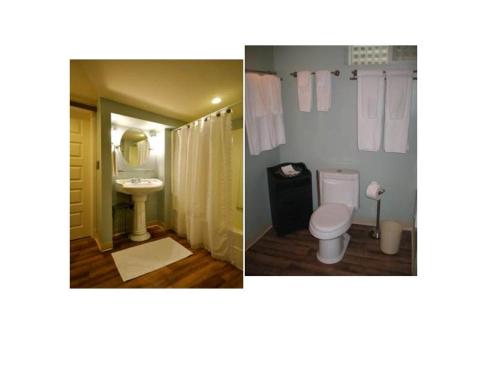 在meiguo.com看到的Lion And The Rose Victorian Guest House的介绍图片