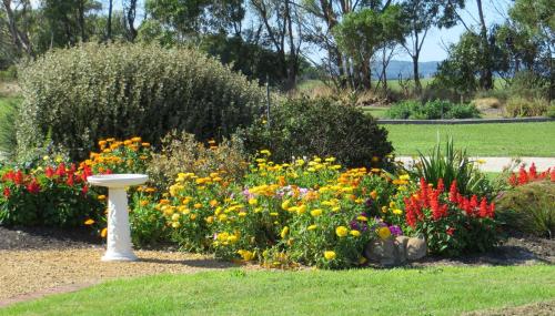 Garden, Arabella Country House in Princetown Garden, Arabella Country House in Princetown
