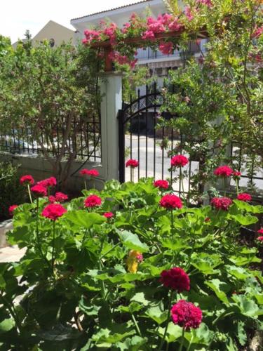 This photo about 123 Armonia Studios shared on HyHotel.com