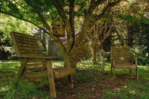 Garden, Lark Cottage in Burrawang Garden, Lark Cottage in Burrawang