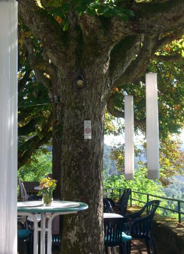 Garden, Hotel-Restaurant Burg-Ramstein in Kordel Garden, Hotel-Restaurant Burg-Ramstein in Kordel