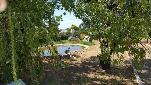 Merindol Manor in Riebeek-Wes Merindol Manor in Riebeek-Wes