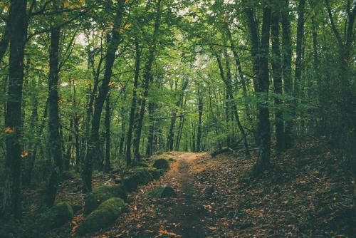 Programlehetőségek, Casa Rural San Marcos in Cepeda De La Sierra Programlehetőségek, Casa Rural San Marcos in Cepeda De La Sierra
