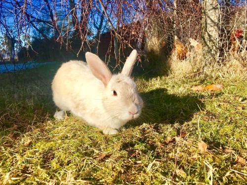 This photo about Shalom Guesthouse shared on HyHotel.com