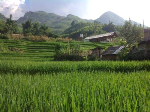 This photo about Luckydaisy Buffalo House shared on HyHotel.com