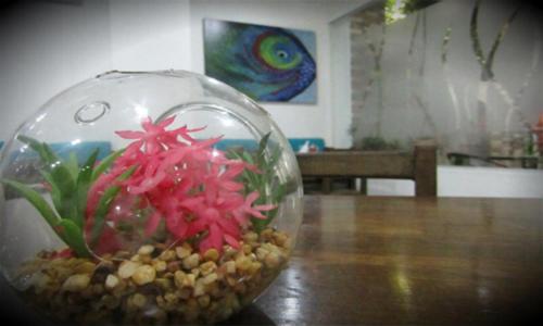 This photo about Hotel Bellamar shared on HyHotel.com