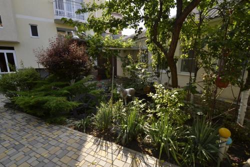 This photo about Vek Guest House shared on HyHotel.com