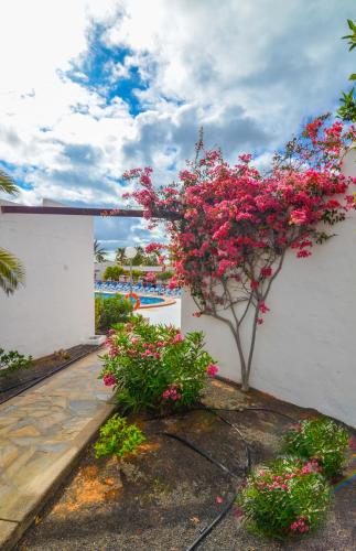 This photo about Bungalows Castillo Club Lake shared on HyHotel.com